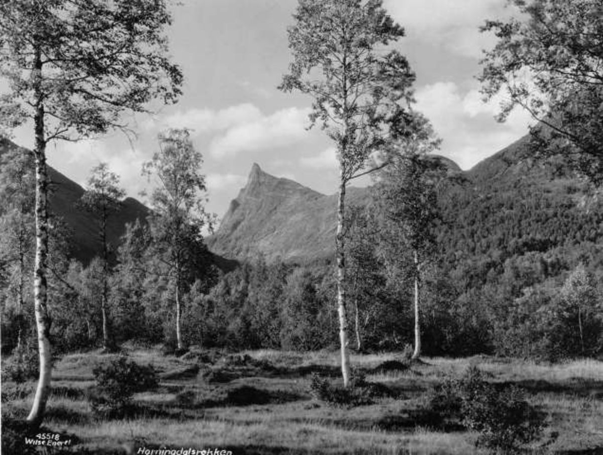 Anders Beer Wilse, -6751