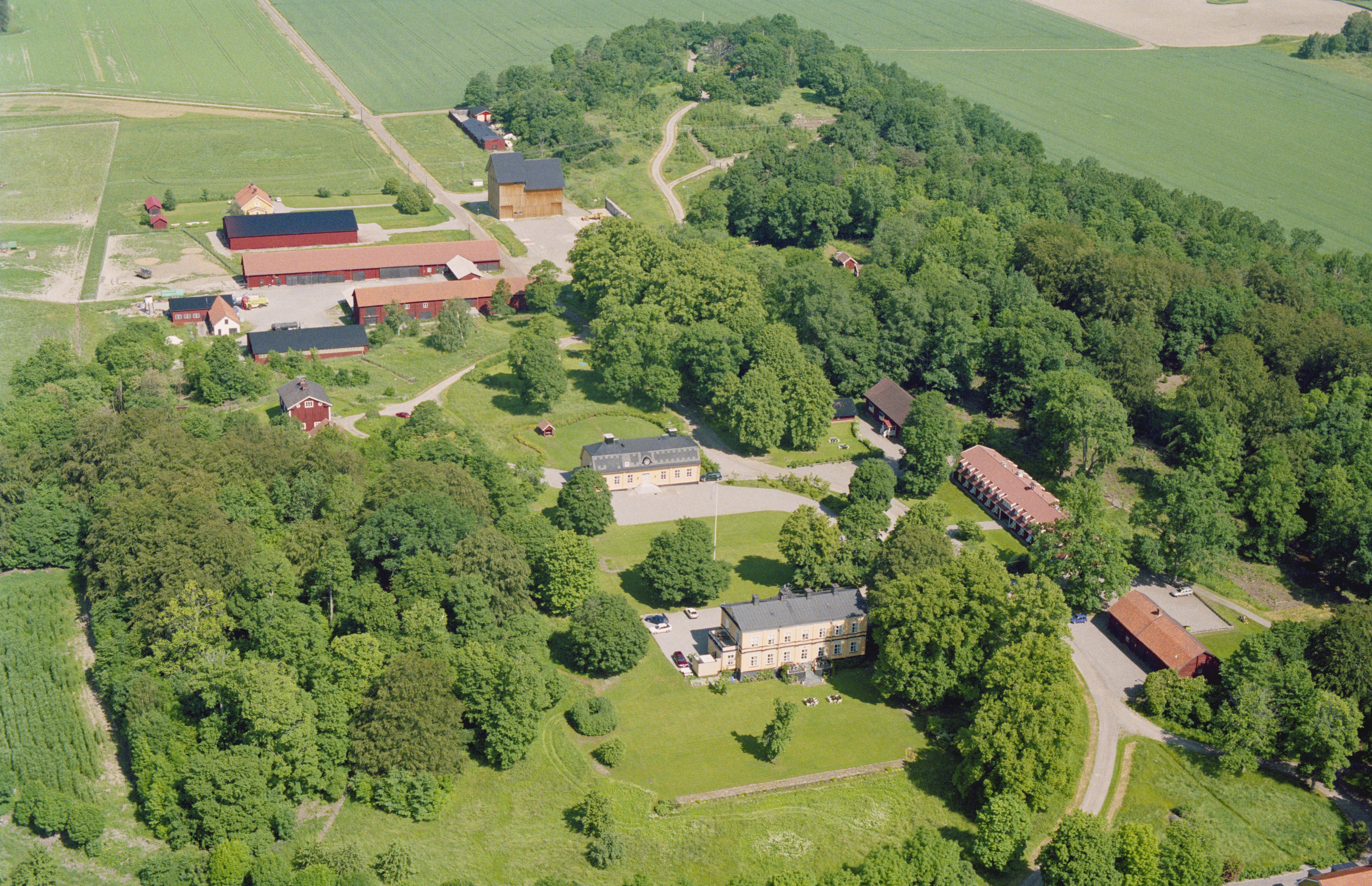 Jan Norrman, Toresta