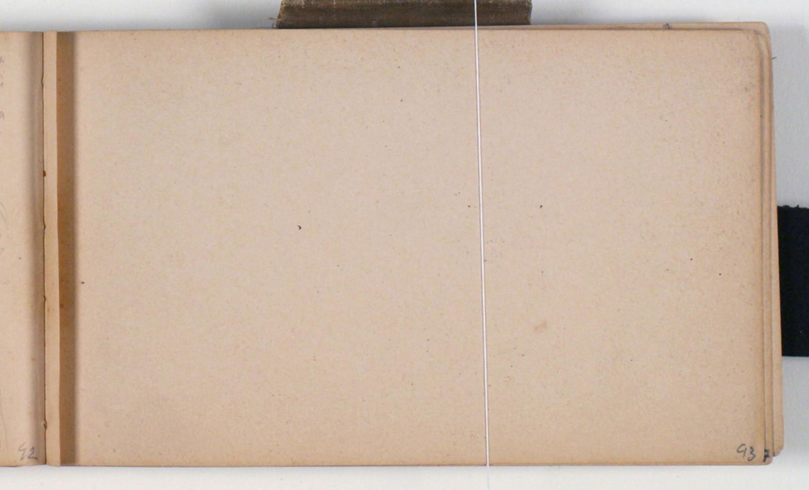 Niels Larsen Stevns, Blank