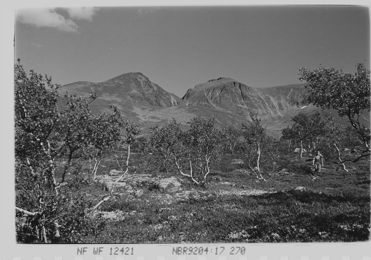 Anders Beer Wilse, Prot: Sölen