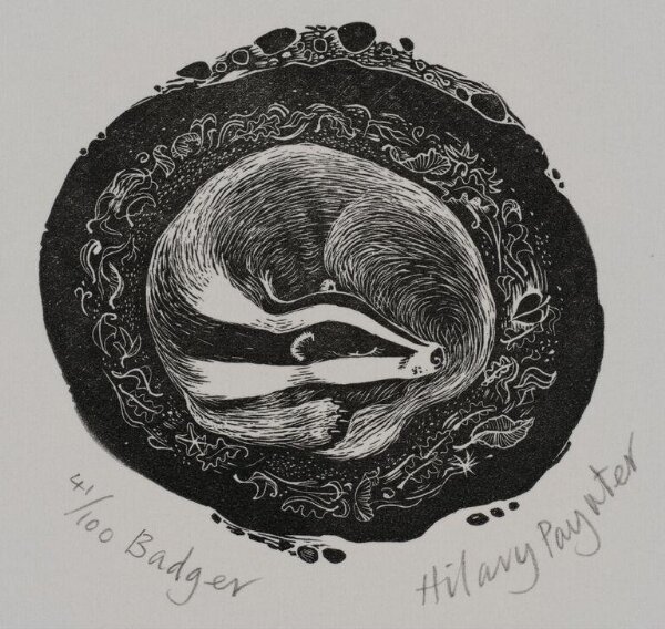 Hilary Paynter, Badger