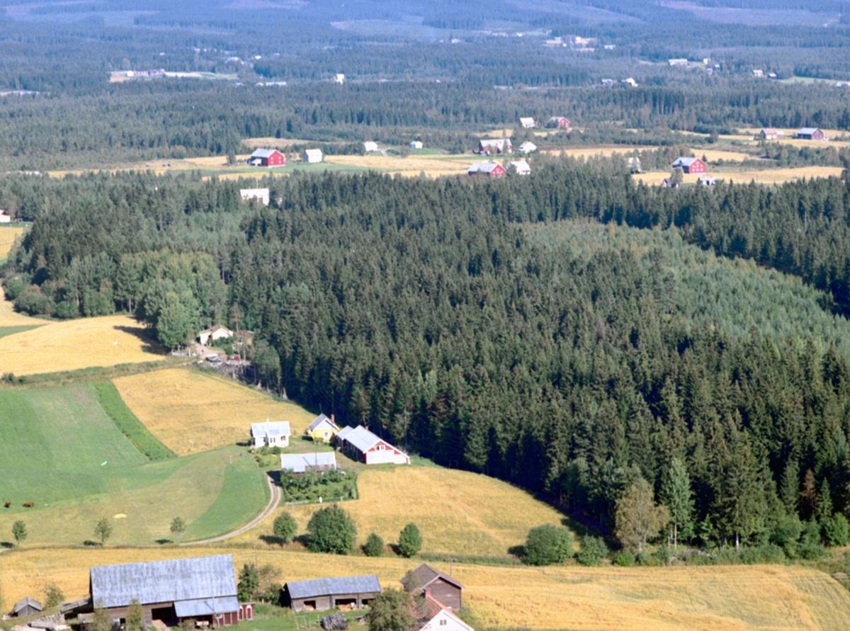 Widerøes Flyveselskap A/S, FLYFOTO GARD I LØTEN. Frogner i Nordbygda. Gården i forgrunnen er Murstad.
