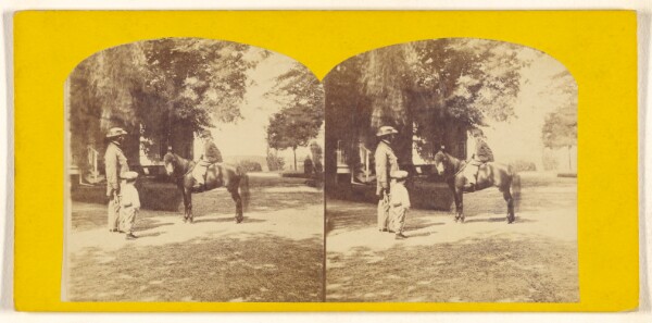 Unknown, [Rural scene]