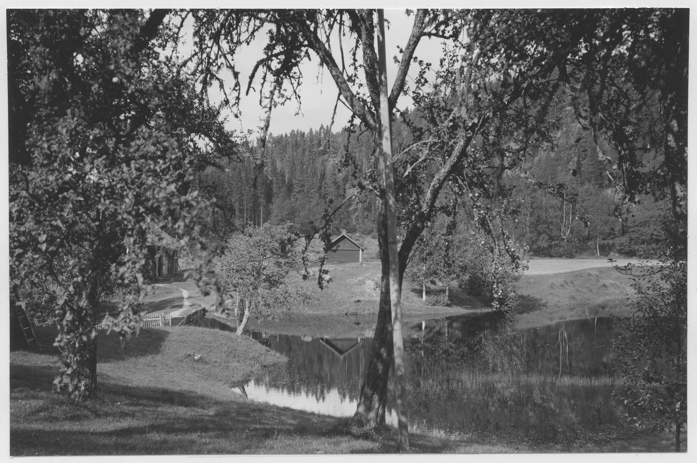 Mårten Sjöbeck, Skåle klint
