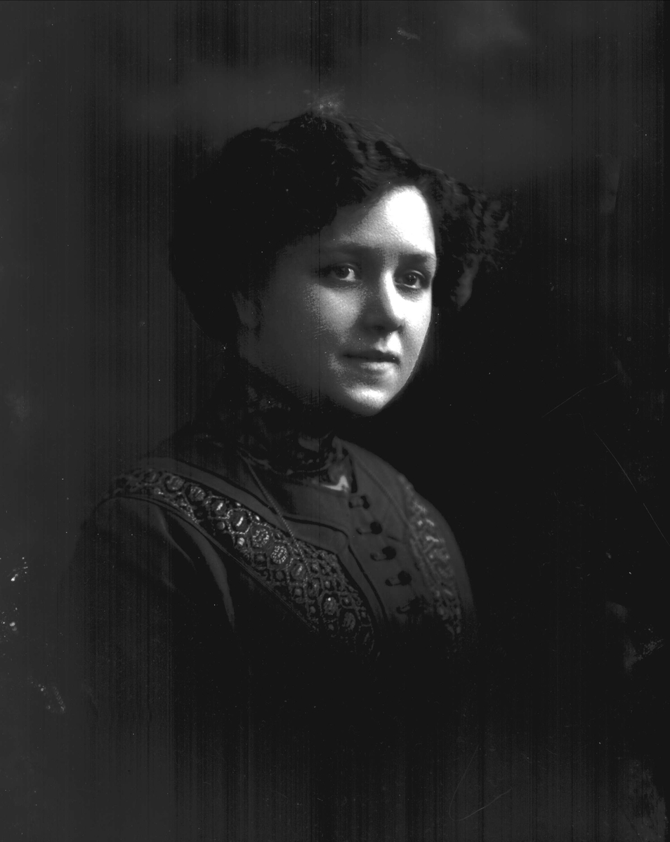 Gustav Borgen, NFB.10224