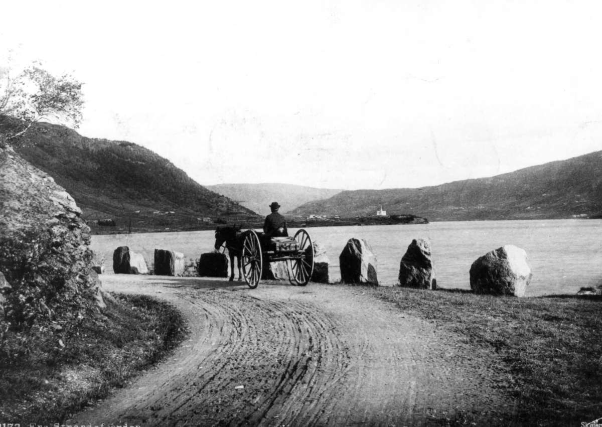 Marthinius Skøien, Fra Strondafjorden, Nord-Aurdal. Oppland. Veiparti med hestekjøretøy.