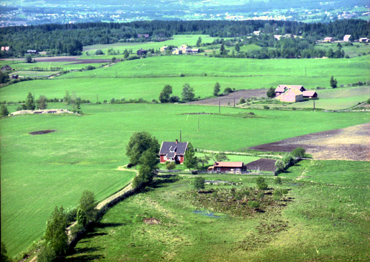 Widerøes Flyveselskap A/S, FLYFOTO SKOGTUN