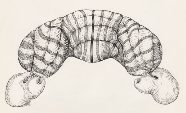 J Tinkelenberg, Part of the central nervous system