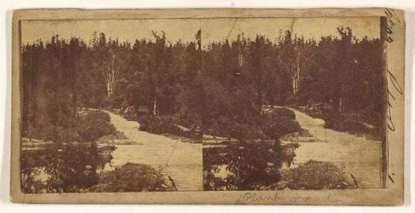 Unknown, [Plank road] (recto); [Felled trees] (verso)