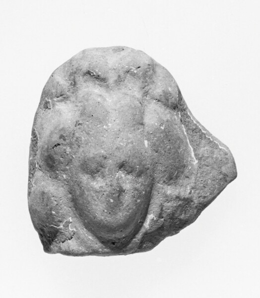 Unknown, Female Head
