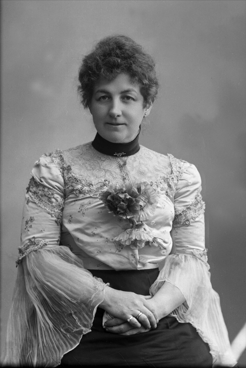 Gustav Borgen, Portrett, fru Dorothea Schibbye.
