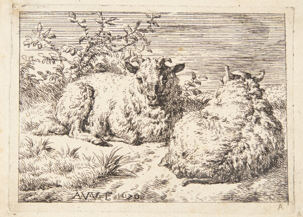 Adriaen van de Velde, To liggende får