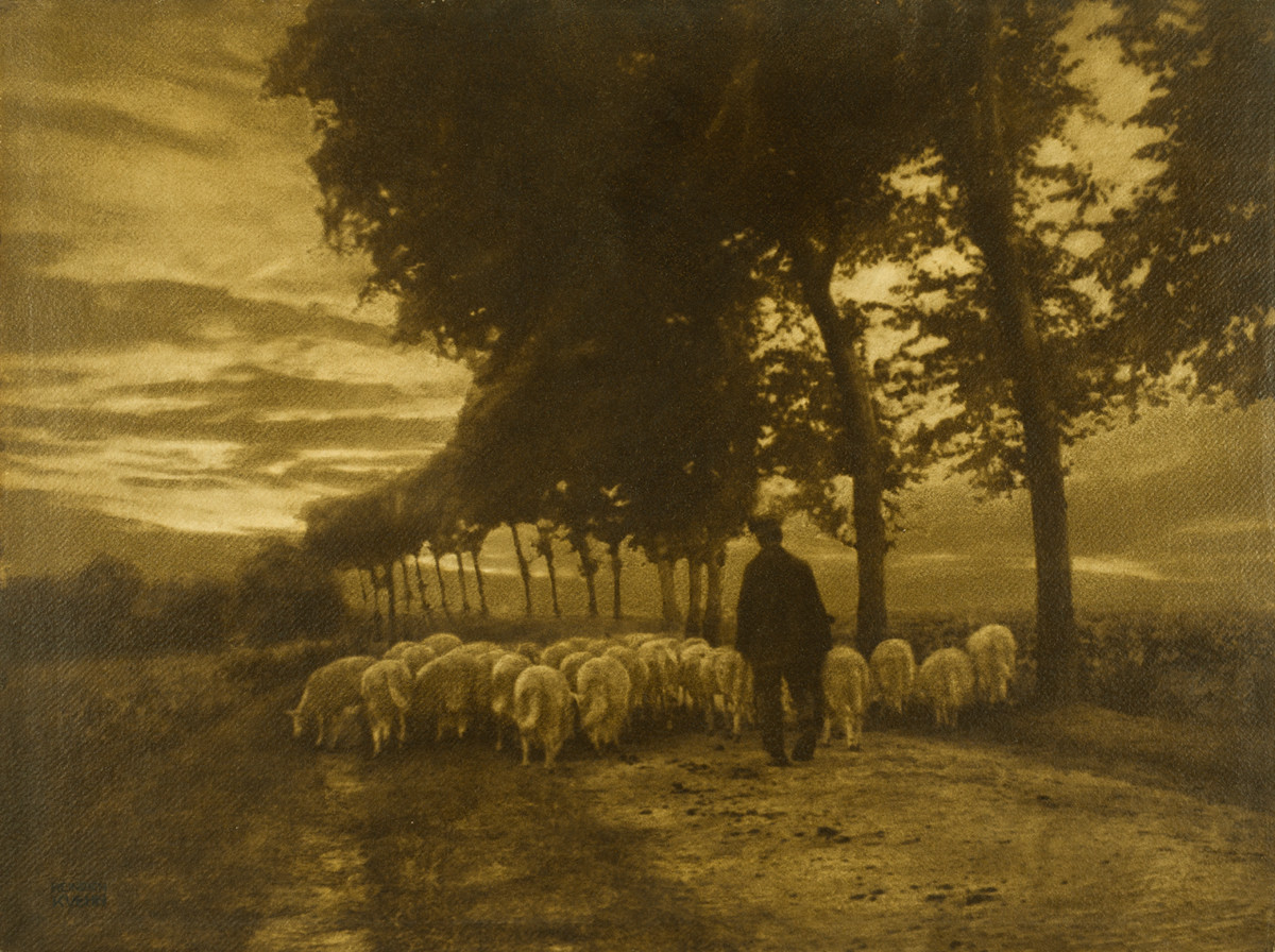 Heinrich Kühn, Heimtrieb der Schafherde