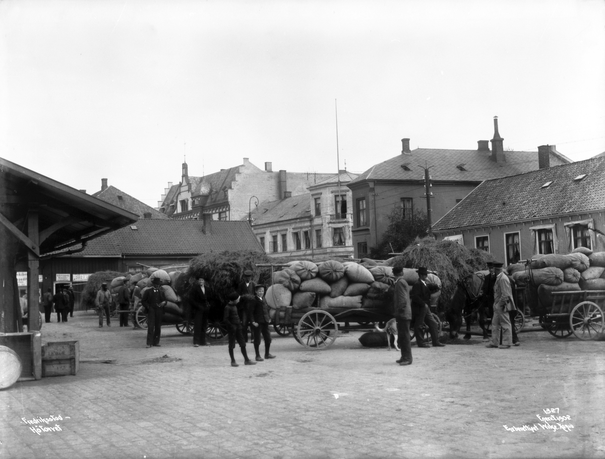 Anders Beer Wilse, Prot: Fredrikstad - Høitorvet 14. Juni 1902