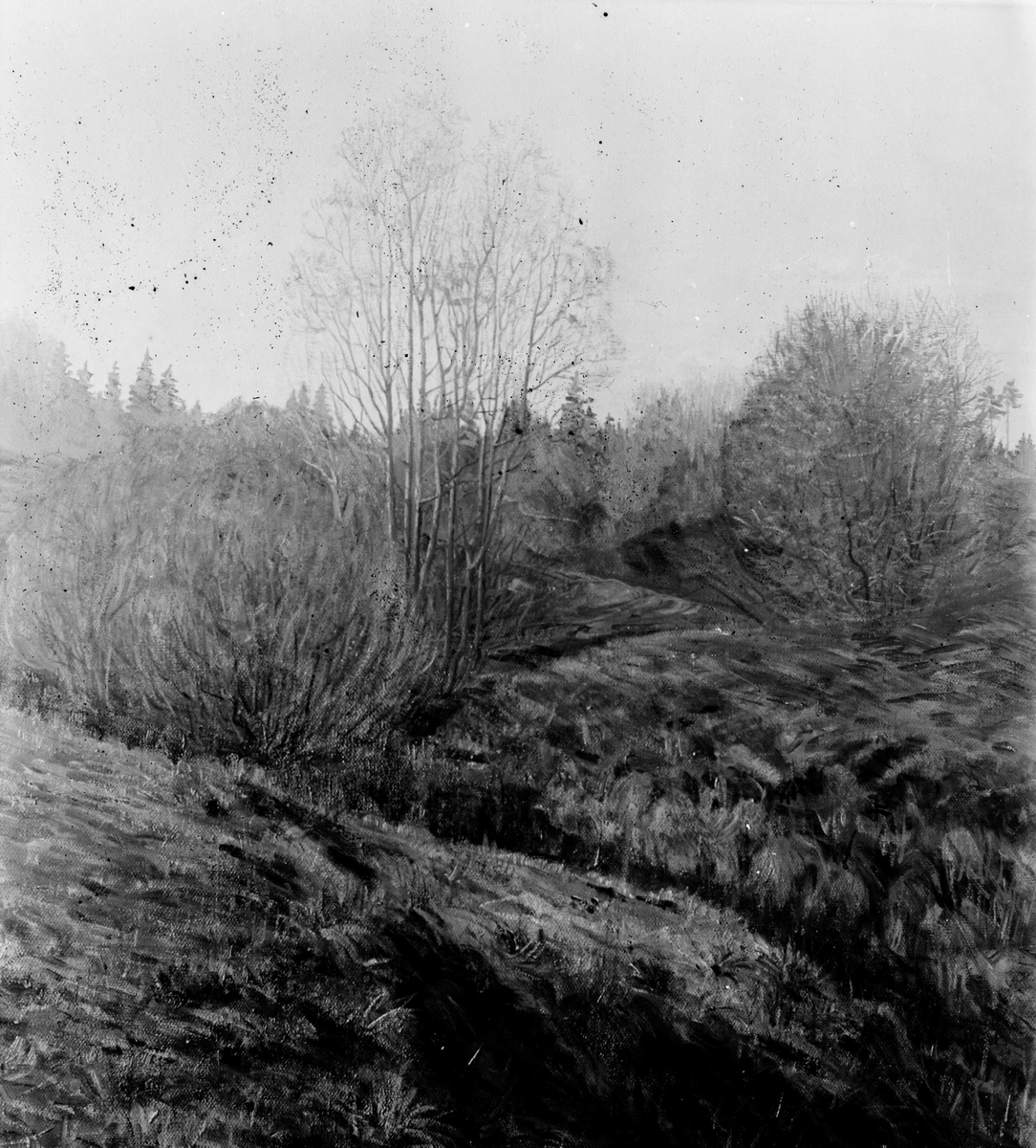 Juliane Fredrikke Langberg, Maleri med landskapsmotiv, ukjent sted. Ikke synlig signatur. Fra malerinne Juliane Fredrikke Langbergs (1856-1930) samling, tatt ca.1895-1910 med motivkrets slekt og venner samt steder tilknyttet samvær med disse.