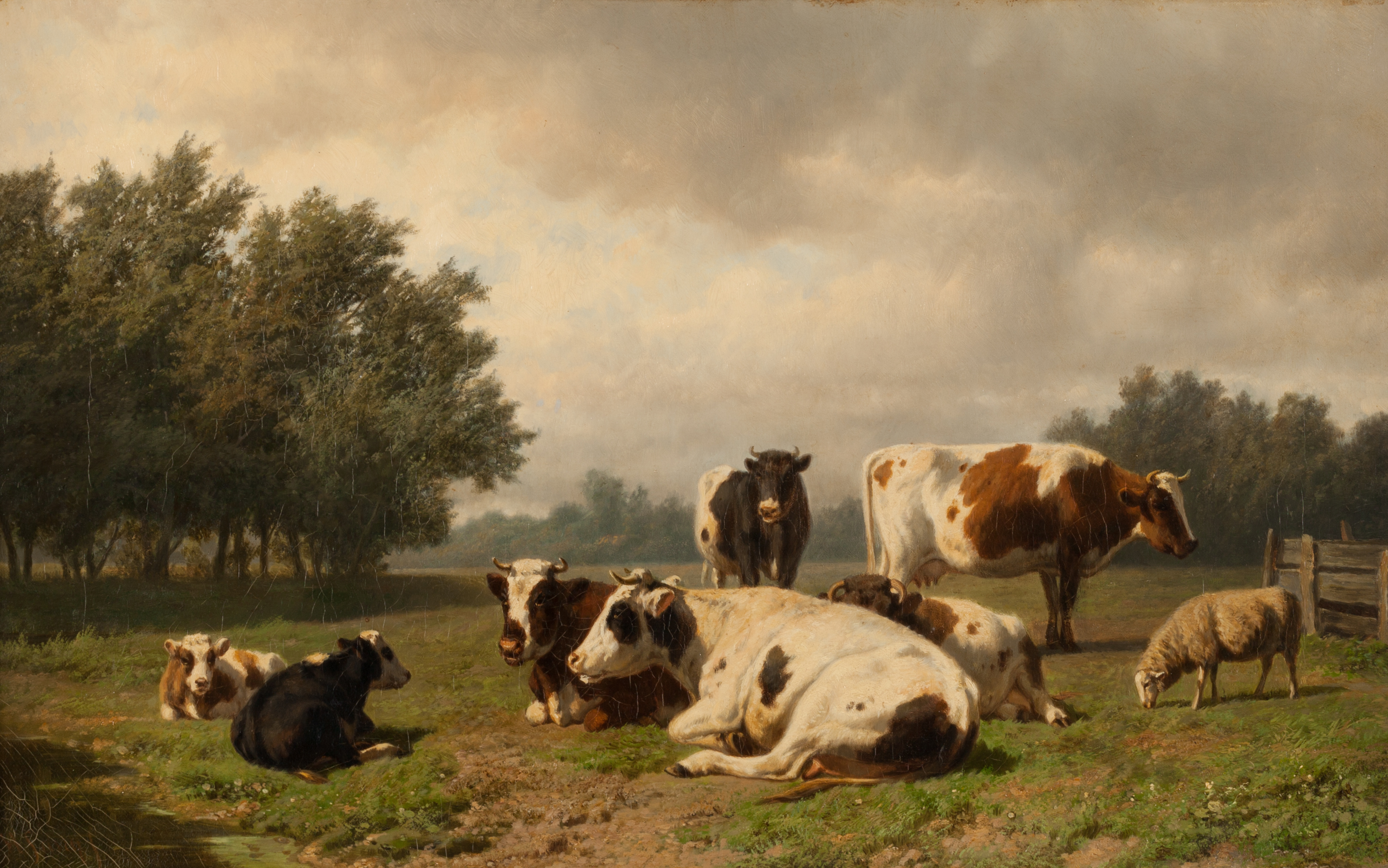 Hendrik Savrij, Koeien en schapen in een weide
