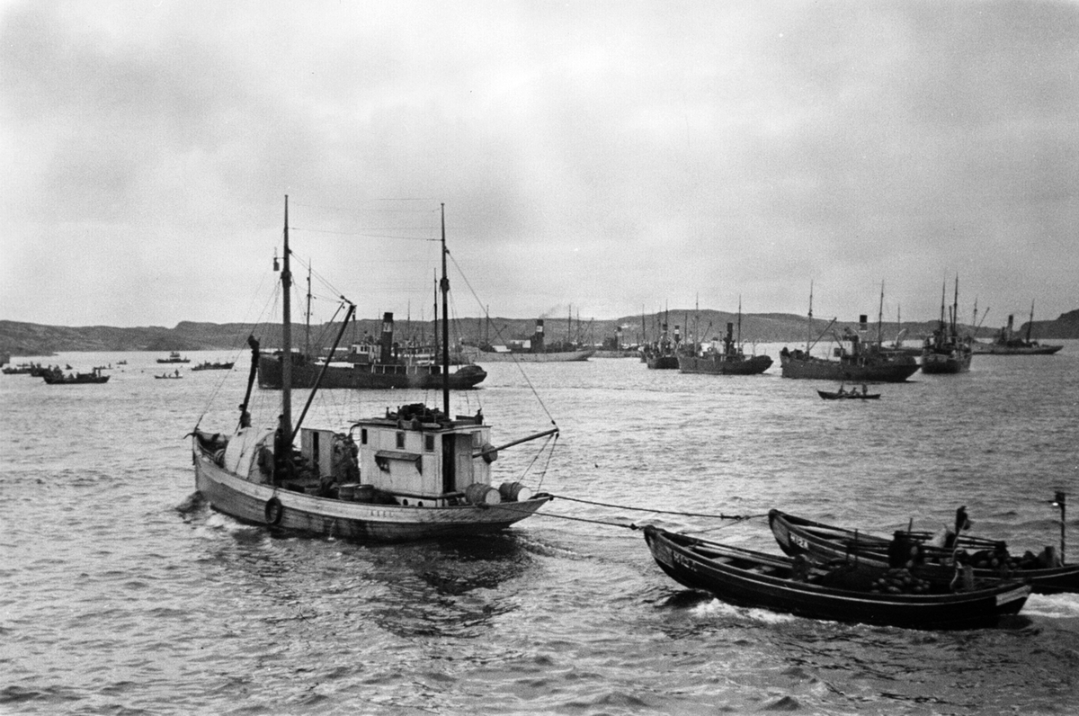 Anders Beer Wilse, Prot: Sildefiske Paa havet nær Haugesund
