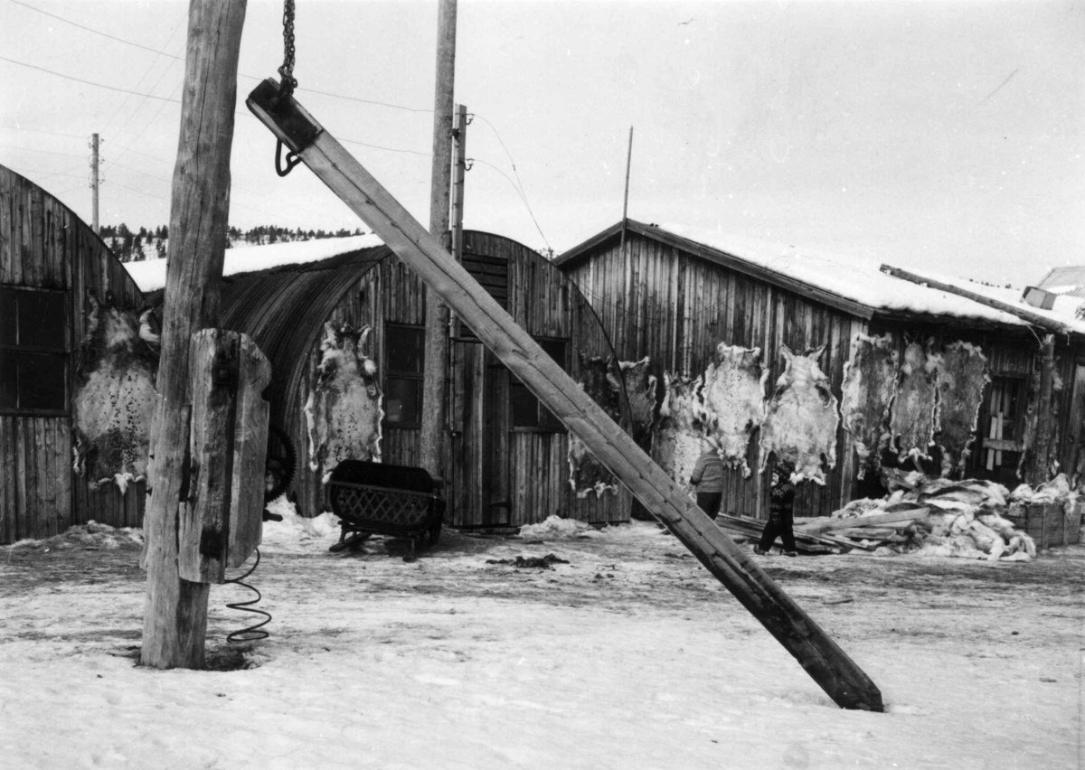 Virginia Raymond Davidson, Reinsdyrhuder til tørk på vegger. Karasjok 1958.