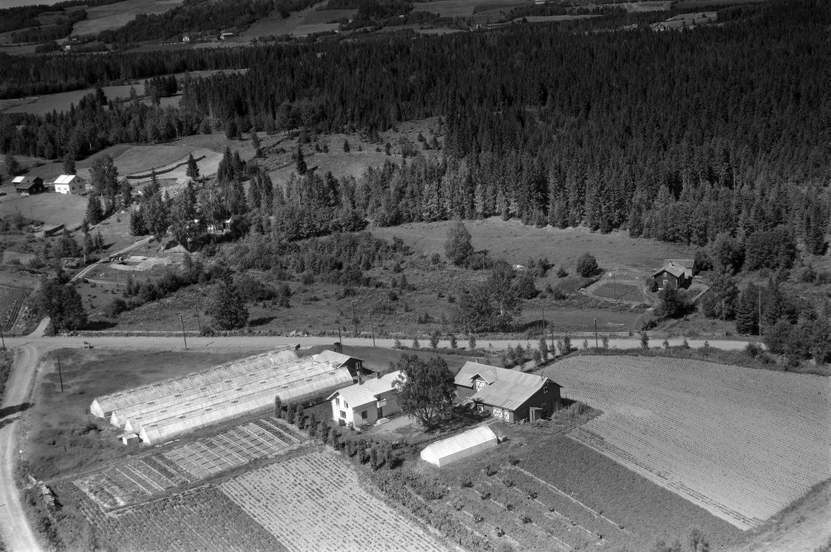 Widerøes Flyveselskap A/S, Flyfoto av Gropa gartneri, Veldre, Ringsaker.