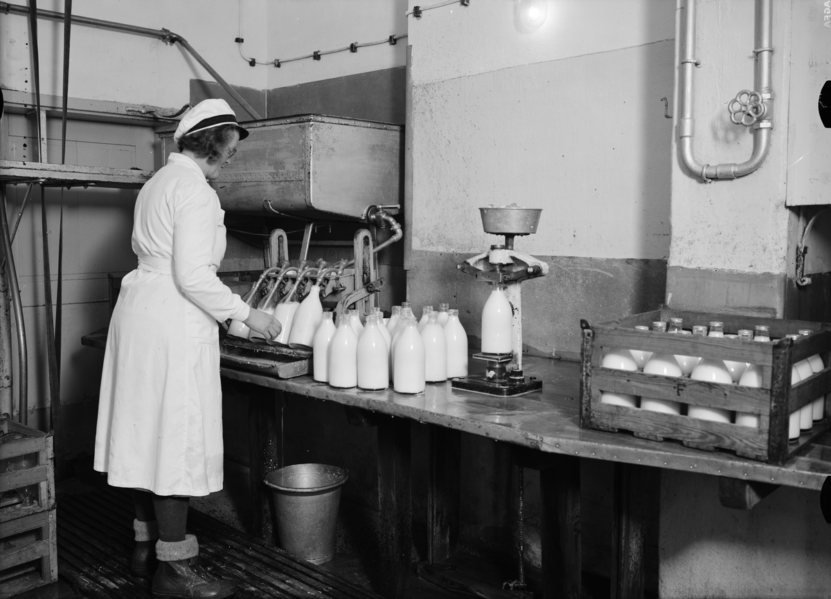 Paul Sandberg, Kvinna fyller mjölk på flaskor, Mjölkcentralen, S:t Persgatan, Uppsala december 1936