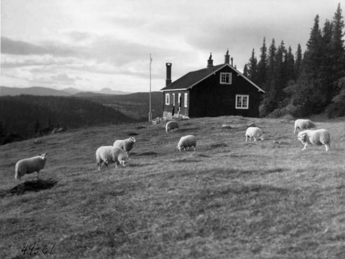 Anders Beer Wilse, -6889