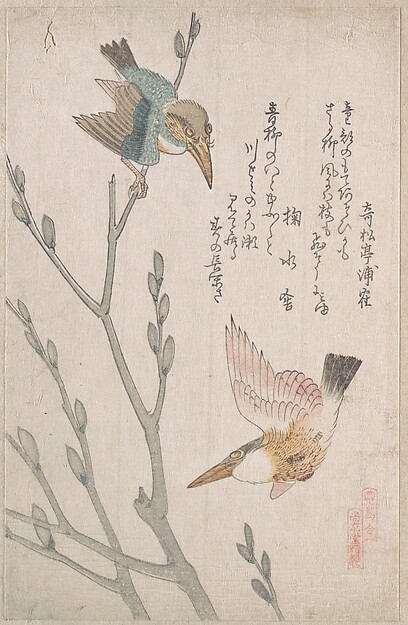 Kubo Shunman, Kingfishers and Pussy-willow