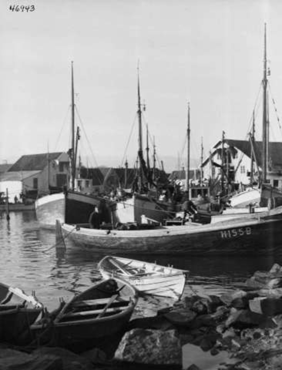 Anders Beer Wilse, -6819