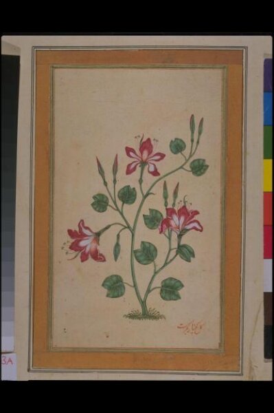 Unknown, Painting