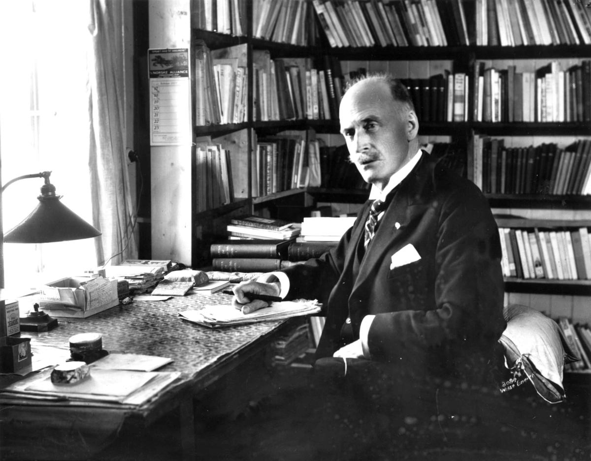 Anders Beer Wilse, Hamsun