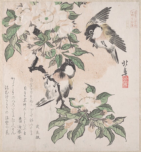 Teisai Hokuba, Spring Rain Collection (Harusame shū), vol. 3: Marsh-tits and Crab Apple Flowers