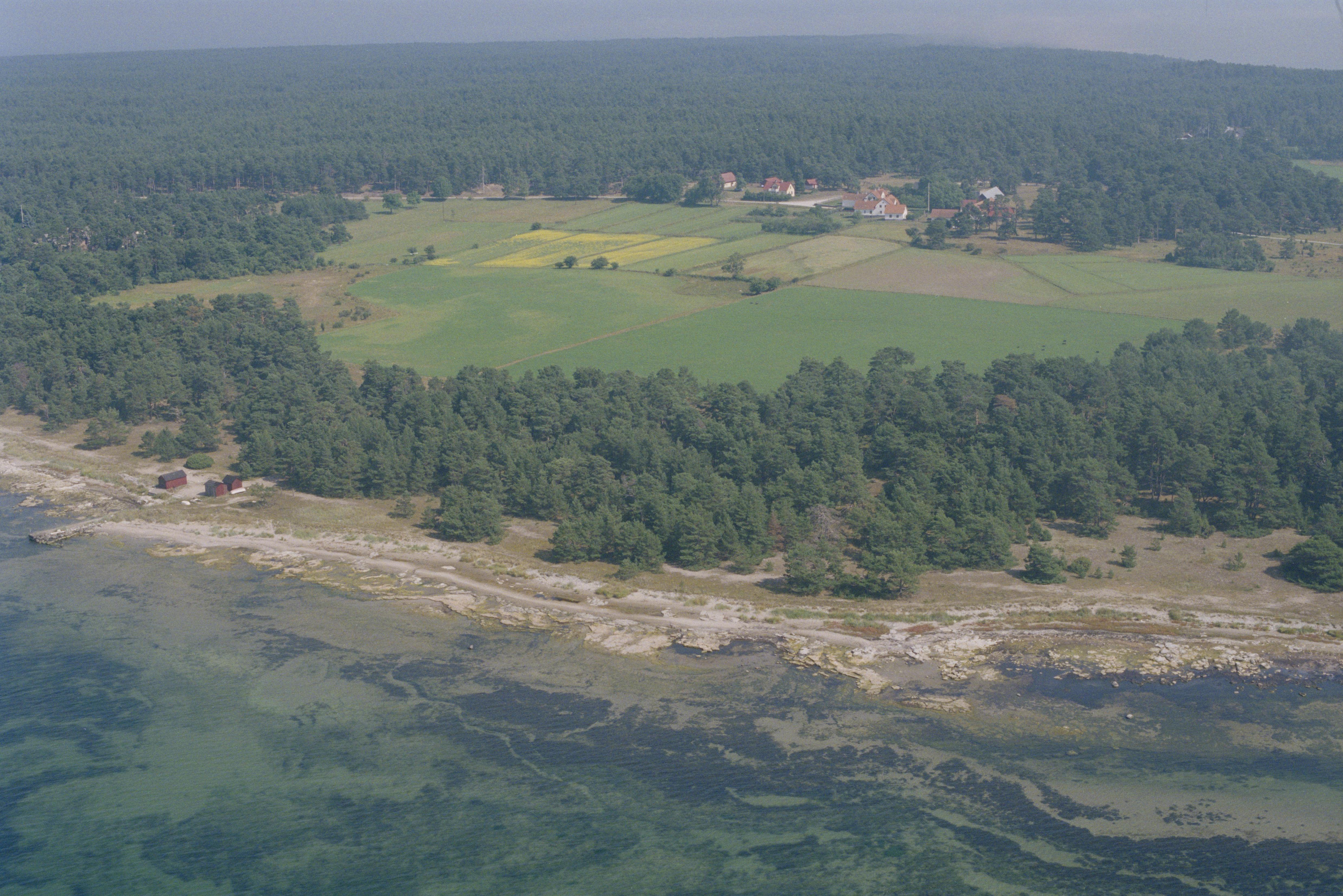 Jan Norrman, Fårö 363:1