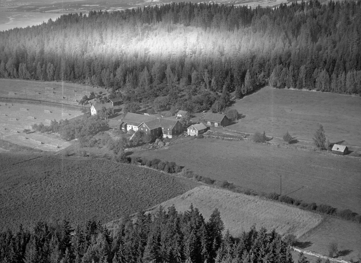 Anno Domkirkeodden, Flyfoto, gardsbruk, Røste/Sollien, Helgøya.