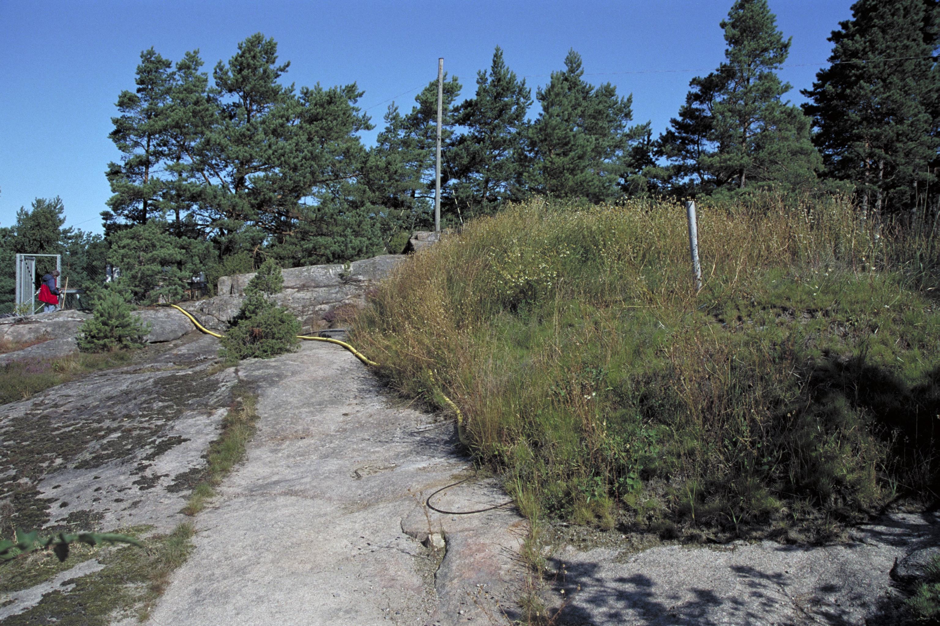 Bengt A Lundberg, Litsleby Forskningshällen
