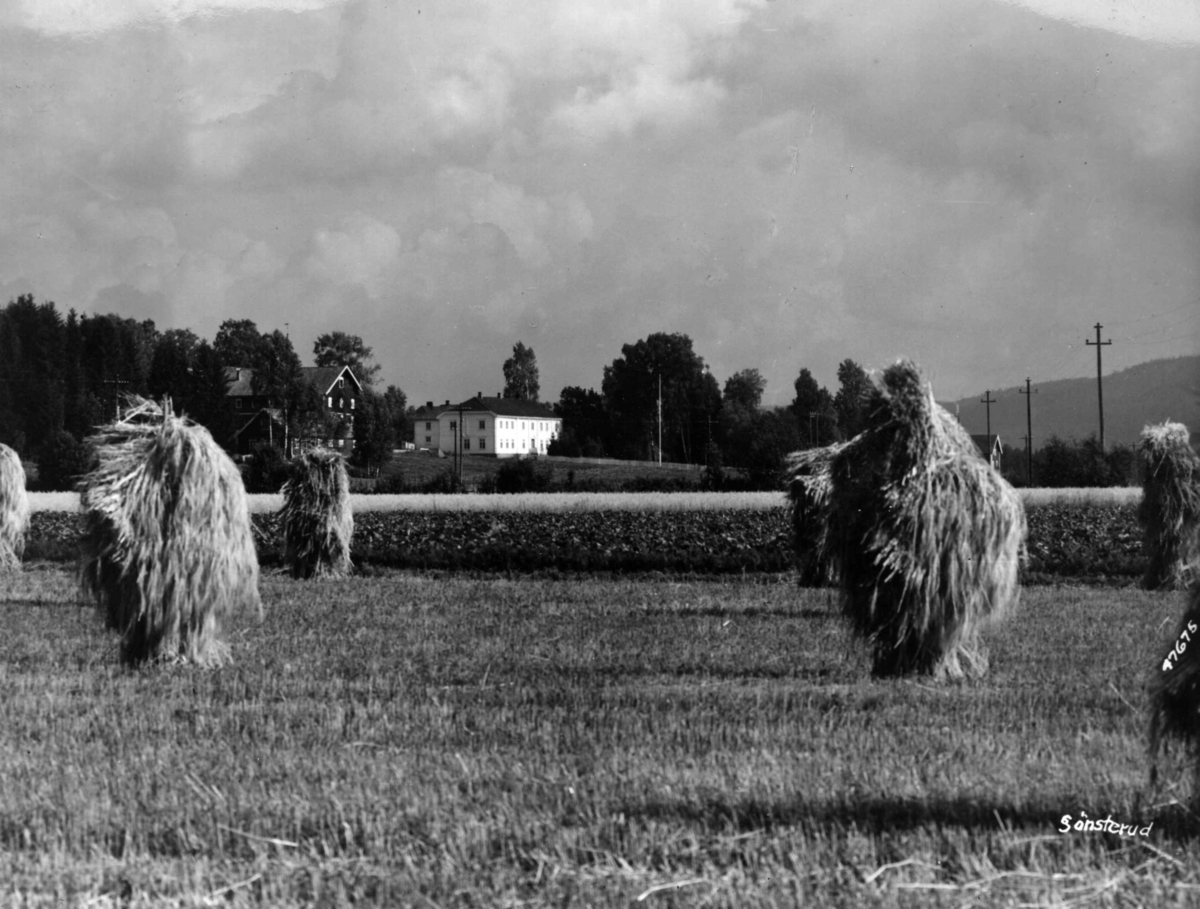Anders Beer Wilse, Sonsterud gård, jordbruk.