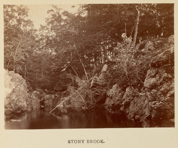 Thomas Lewis, Stony Brook
