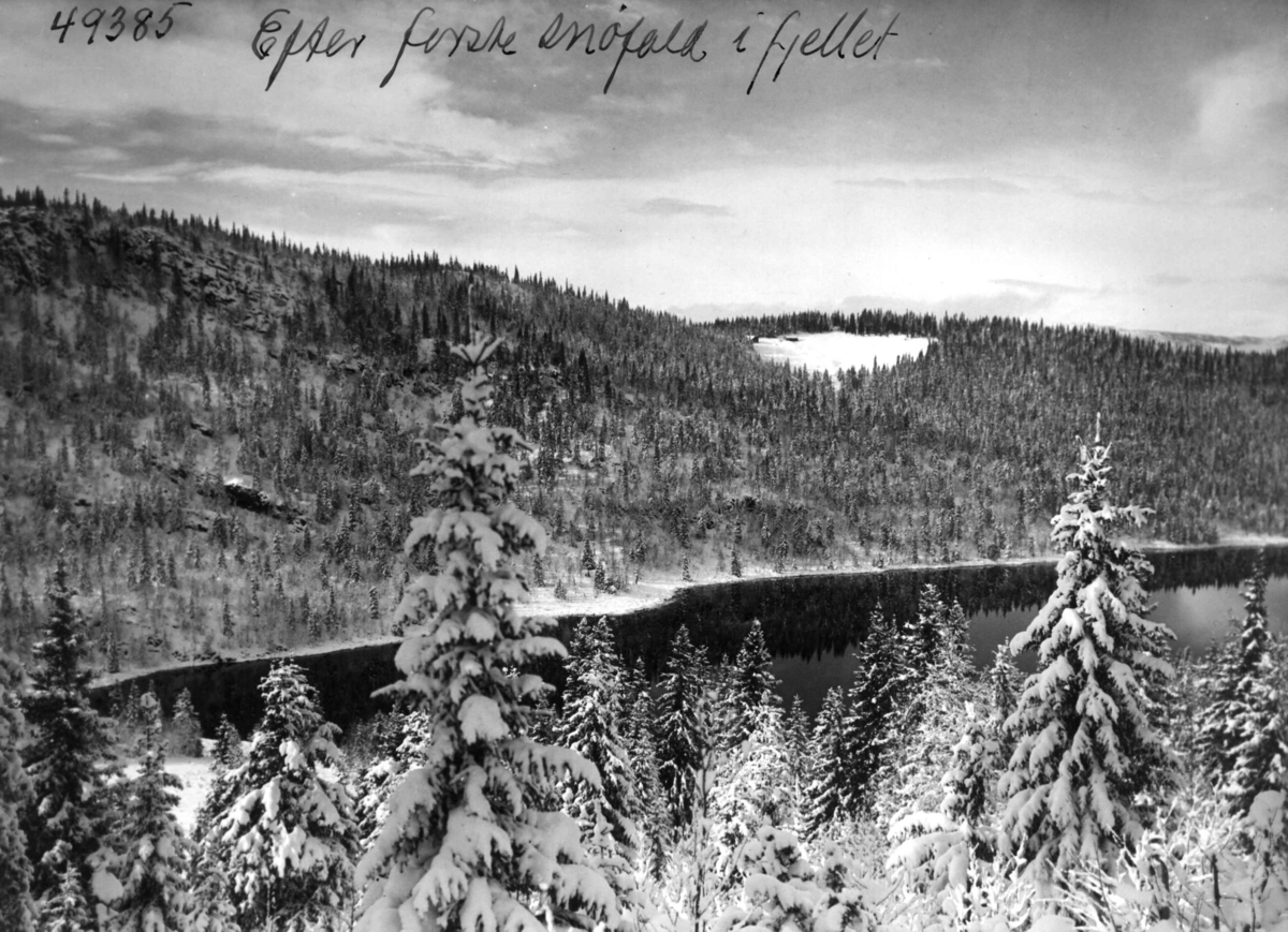 Anders Beer Wilse, Utsikt fra Granstolen, Killinghusfjorden, sno.