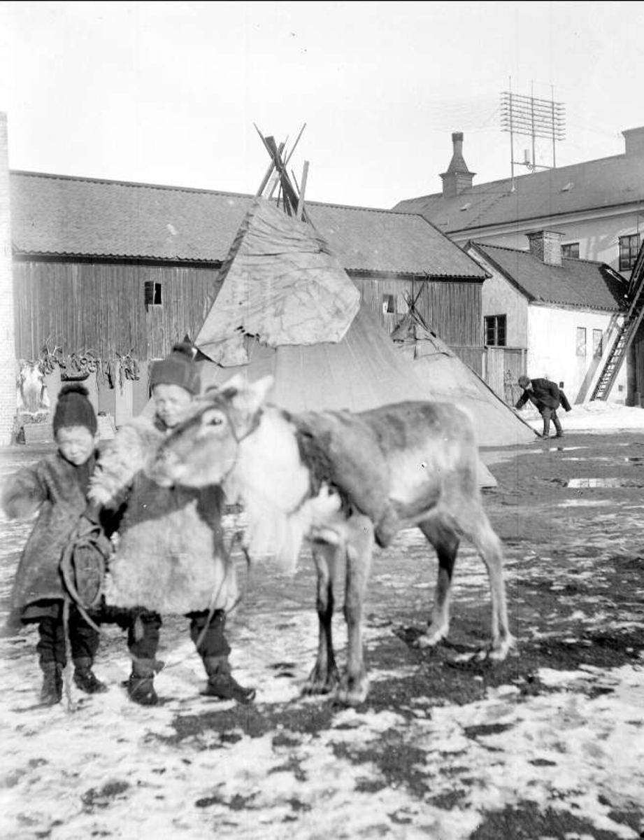Johan Lundin, Barn och ren på Feithska tomten, kvarteret Oden Ygg, Uppsala