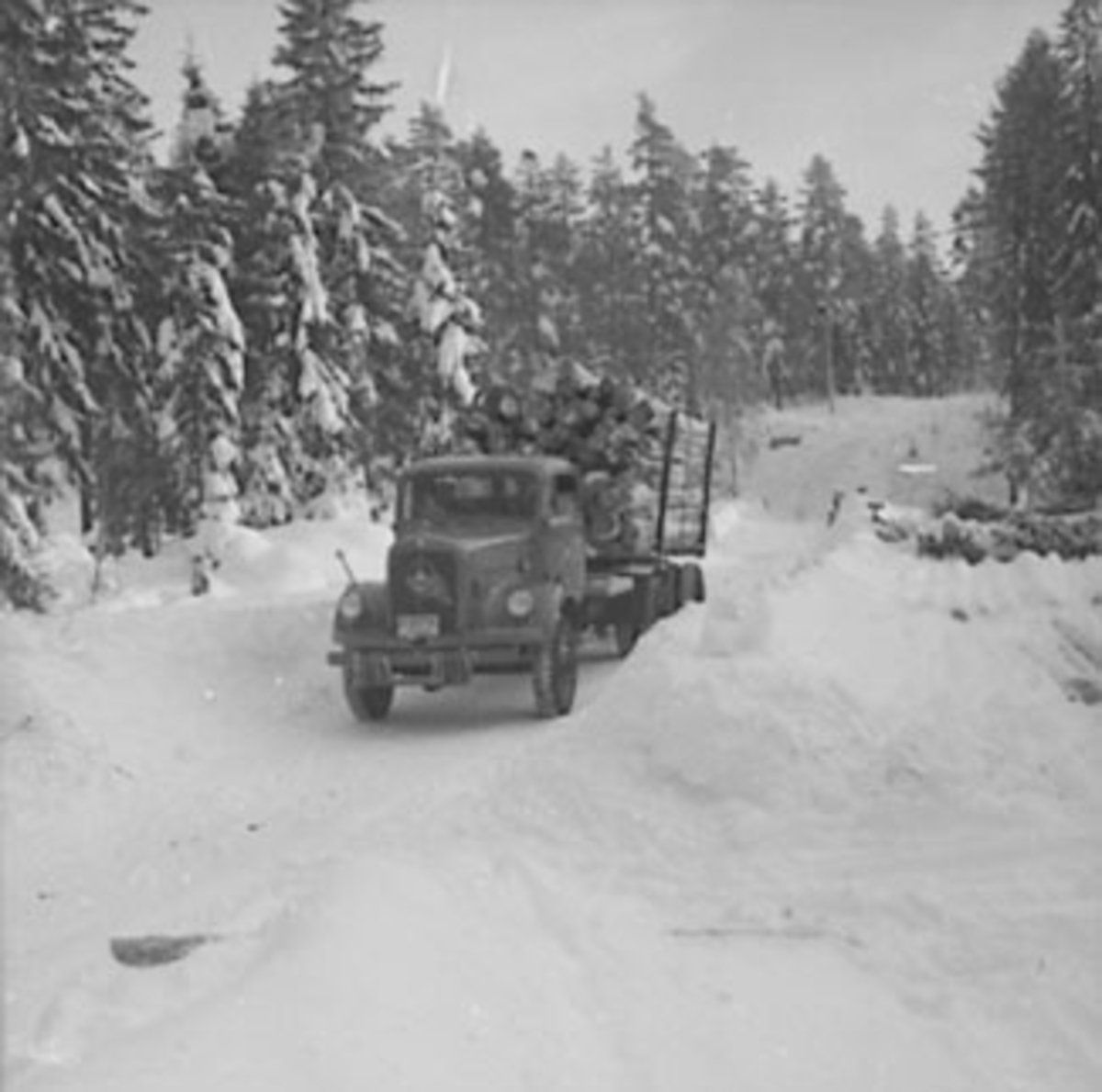 Anno Domkirkeodden, TØMMERKJØRING, SKOGBRUK, LASTEBIL MED TØMMER, VINTER, SNEKKERSVEDRIFTA, PRESTMARKA,
