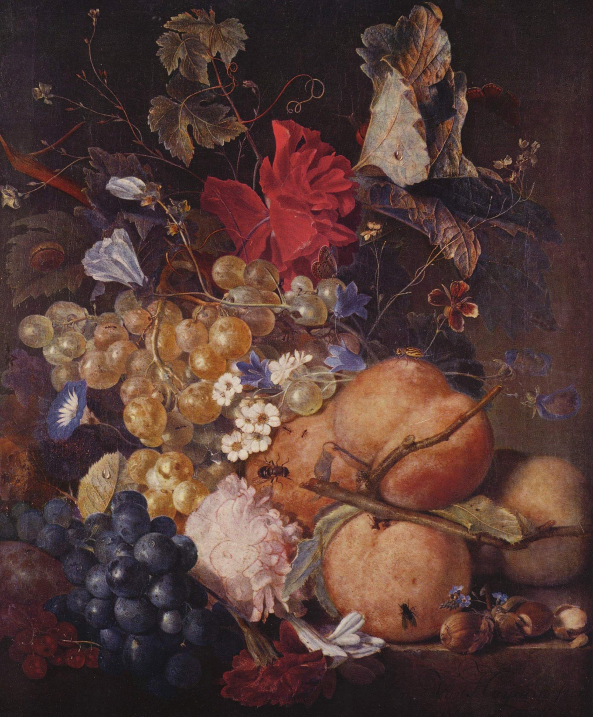 Jan van Huysum, Fruit, flowers and insects on a marble ledge