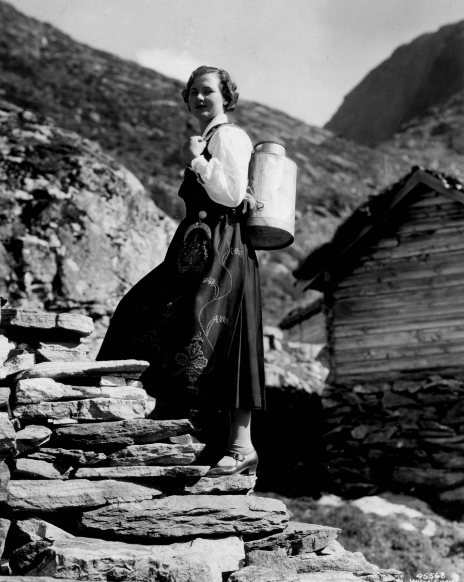 Anders Beer Wilse, Kvinnedrakt, , More og Romsdal.