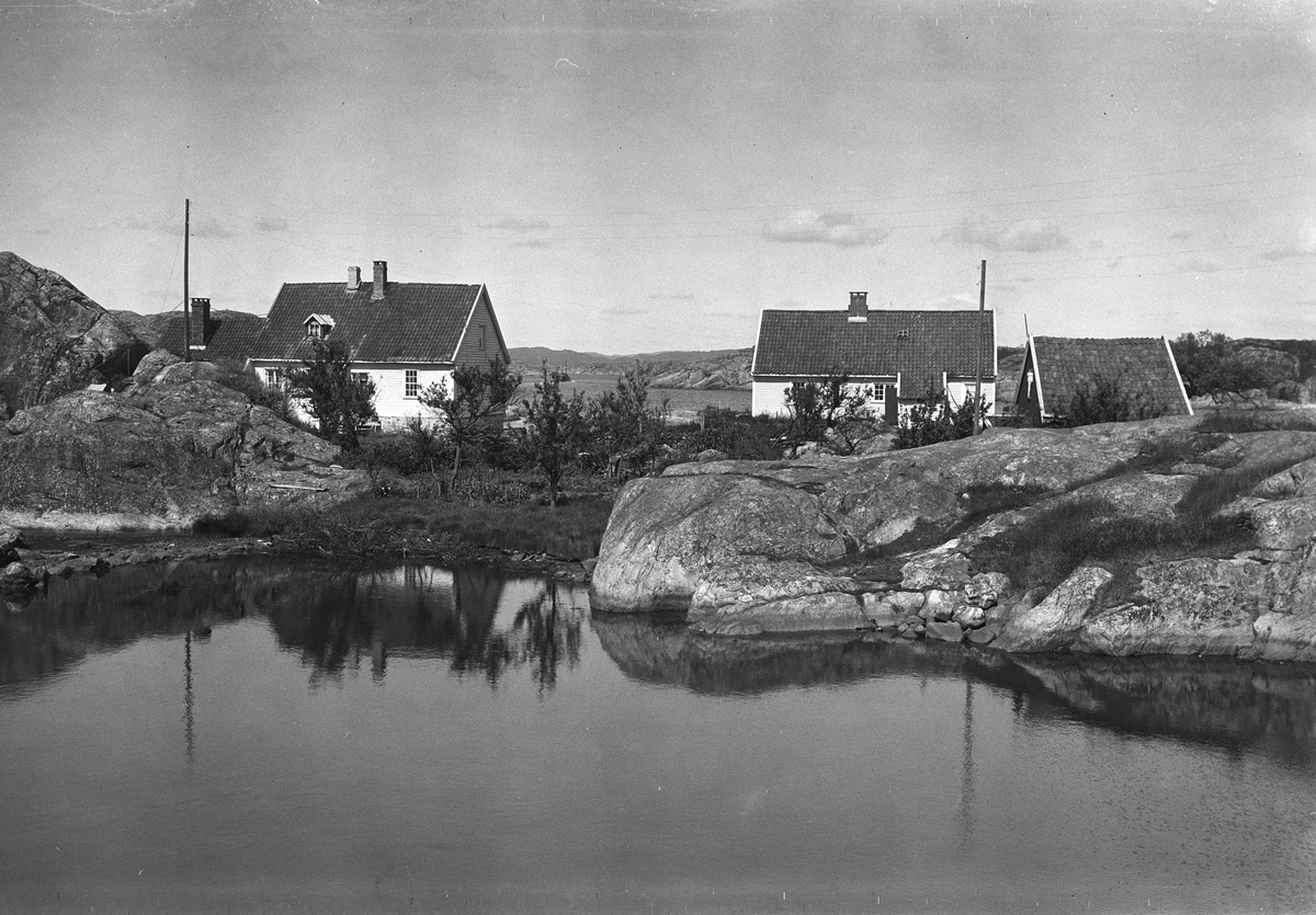 Anders Beer Wilse, Prot: Ny Hellesund