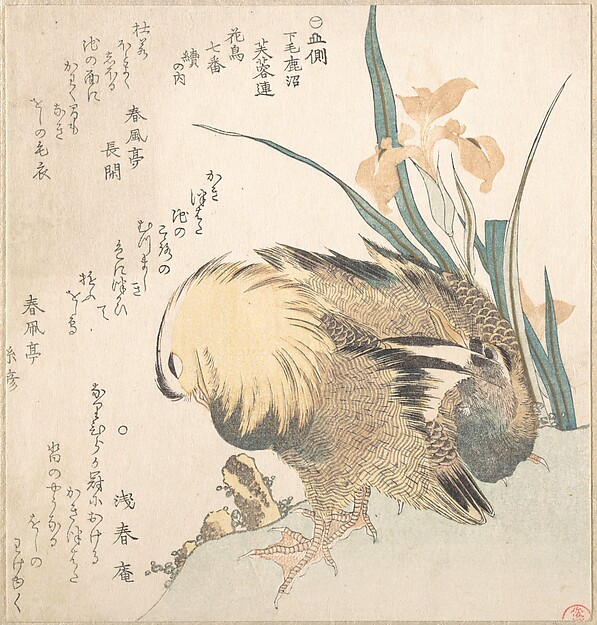 Kubo Shunman, Pair of Mandarin Ducks and Iris Flowers