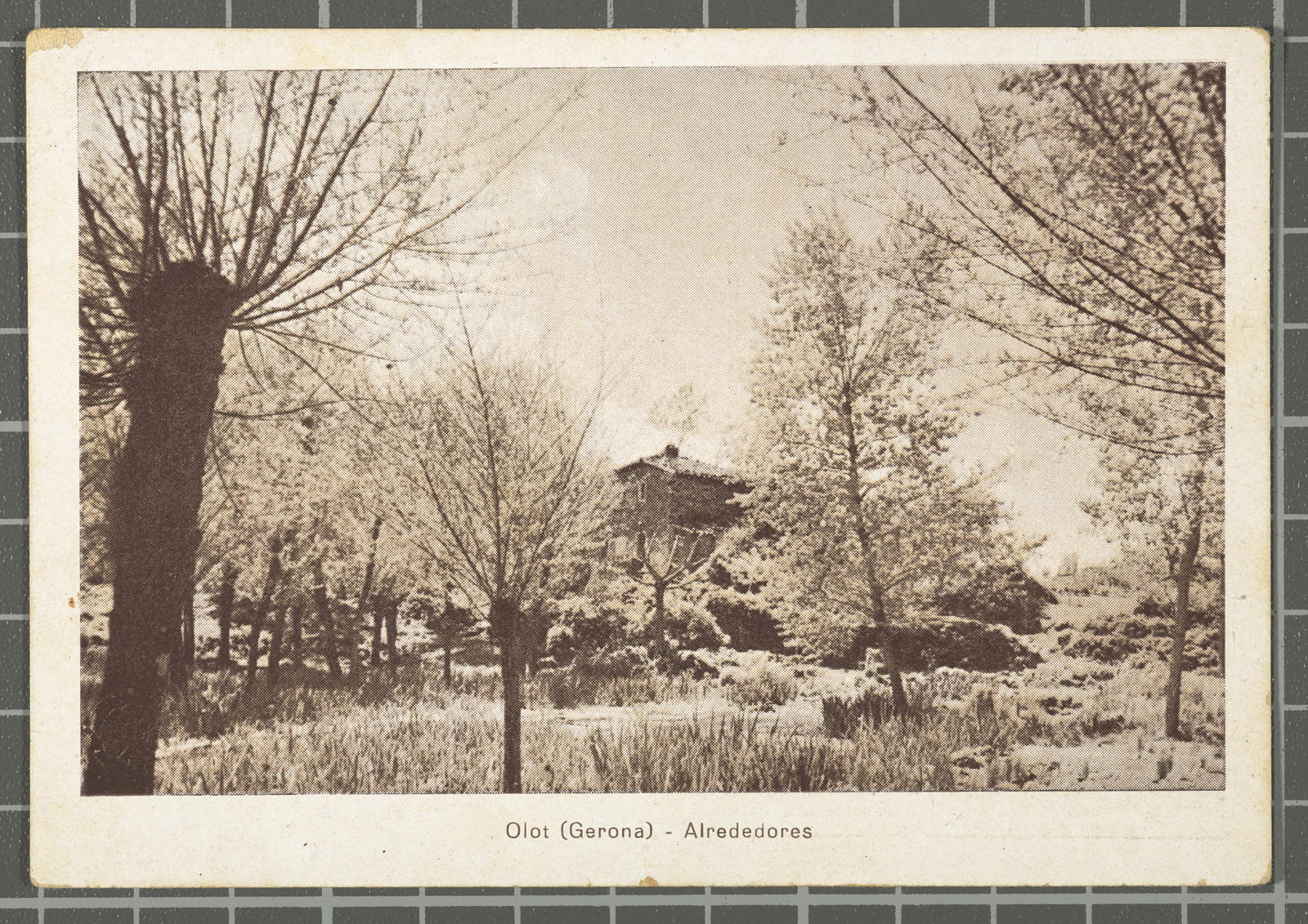 Desconegut, Olot (Gerona) - Alrededores