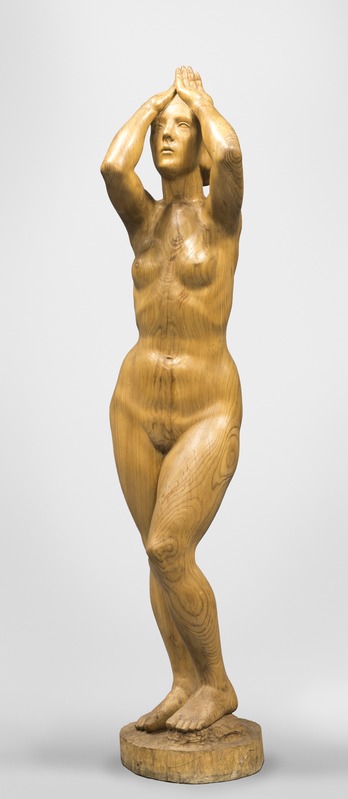 Ferdi (autor) Sannamees, Naise figuur