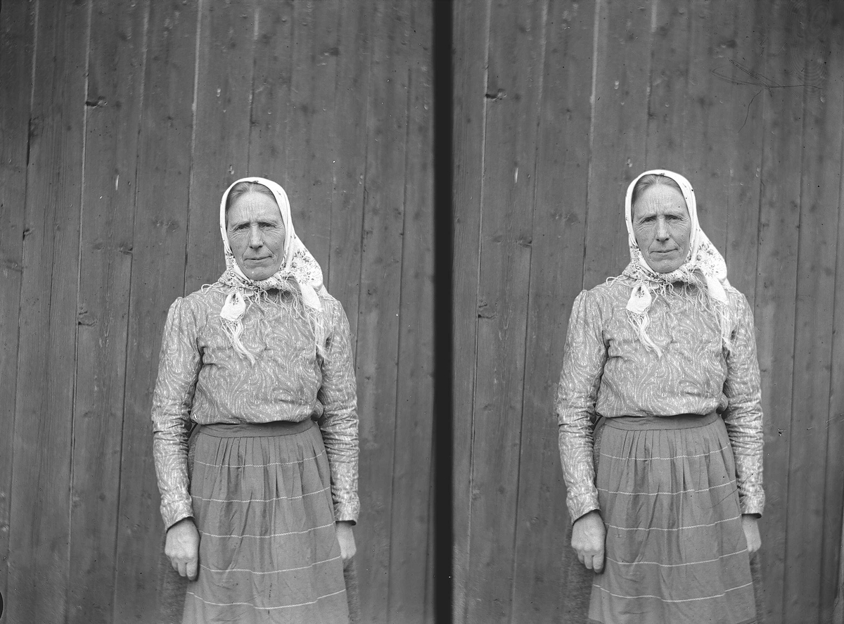 Axel Quinsgaard Wiborg, Portrett av Lisa på Holoa seter, Hadeland, Jevnaker, Oppland, april 1906.