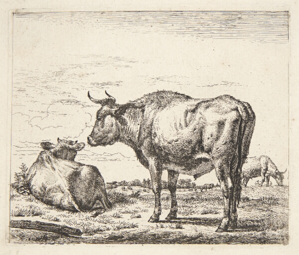 Adriaen van de Velde, Stående tyr
