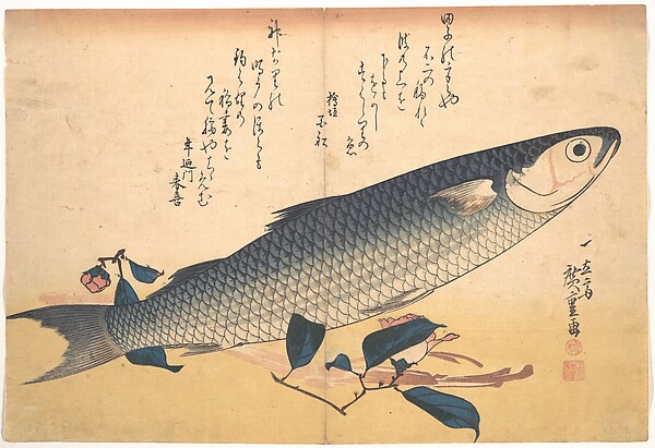 Utagawa Hiroshige, Bora Fish with Camellia, from the series Uozukushi (Every Variety of Fish)