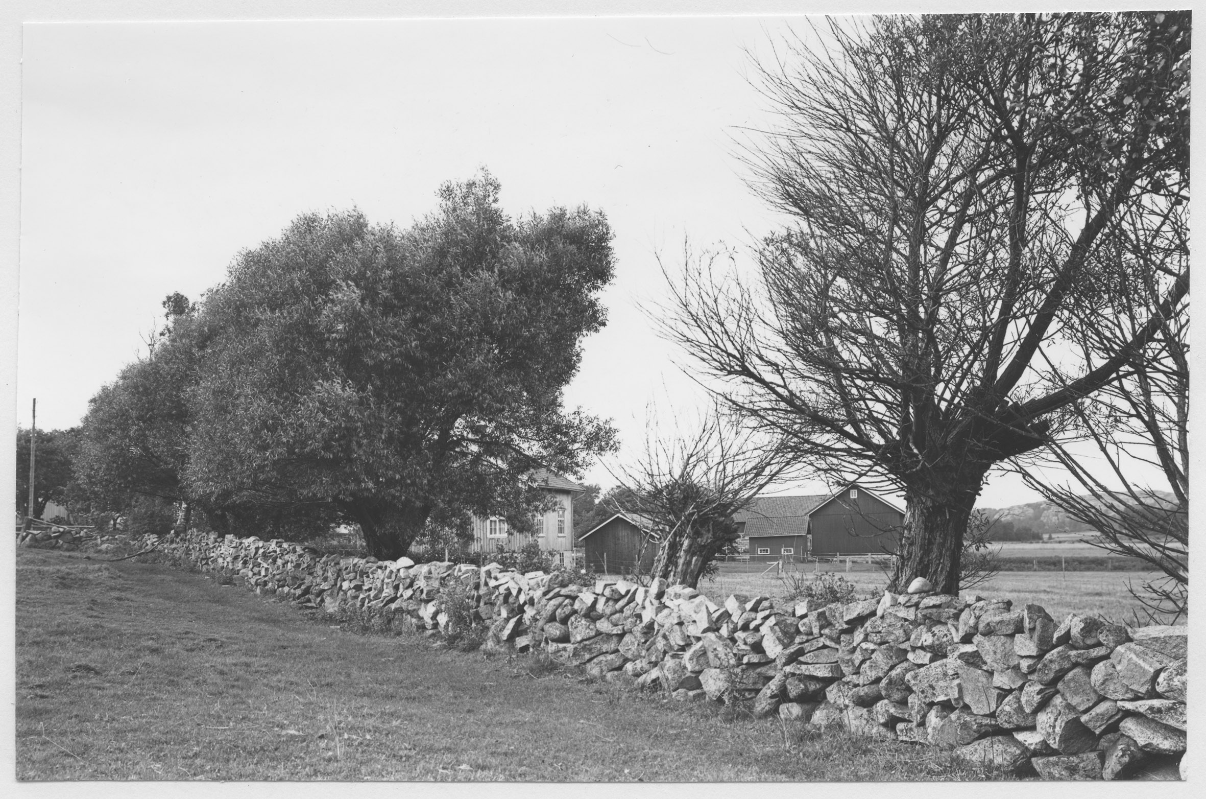 Mårten Sjöbeck, Grebbestads socken, bondgård