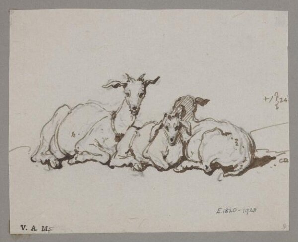 George Chinnery, Two goats and a kid