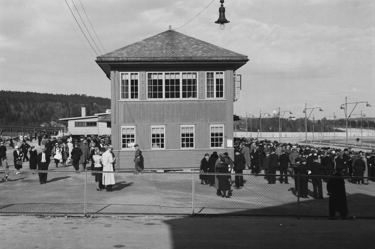 Anders Beer Wilse, Prot: Bjerke Traverbane